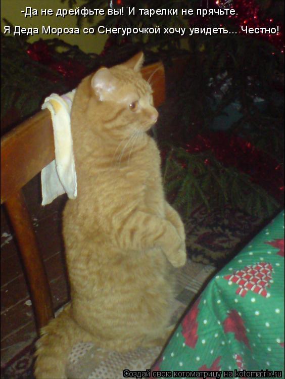 -Да не дрейфьте вы! И тарелки не прячьте. Я Деда Мороза со Снегурочкой хочу увидеть... Честно!... Котоматрица: -Да не дрейфьте вы! И тарелки не прячьте. Я Деда Мороза со Снегурочкой хочу увидеть... Честно!