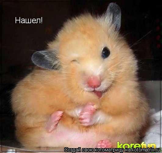 Нашел!... Котоматрица: Нашел!