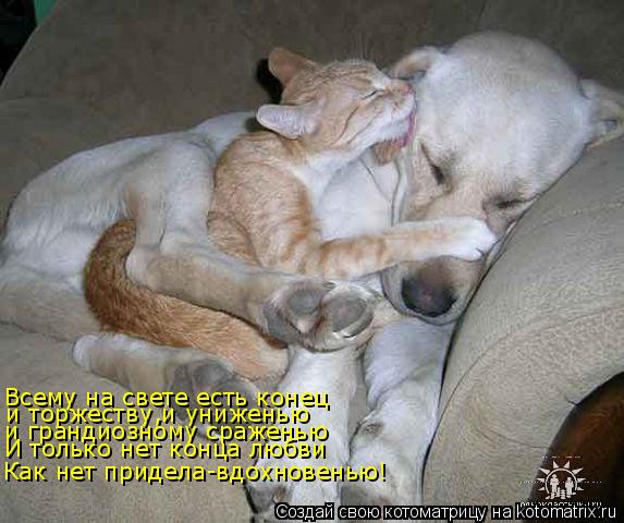 Всему на свете есть конец и торжеству,и униженью и грандиозному сраженью И только нет конца любви Как... Котоматрица: Всему на свете есть конец и торжеству,и униженью и грандиозному сраженью И только нет конца любви Как нет придела-вдохновенью!