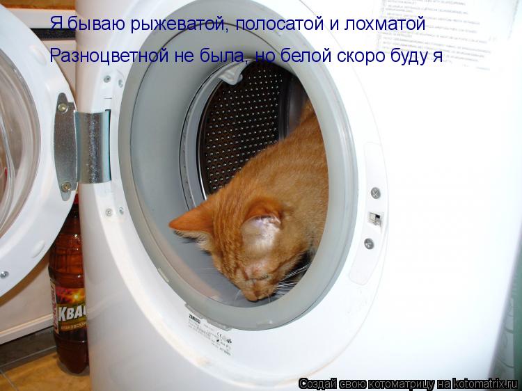 Я бываю рыжеватой, полосатой и лохматой Разноцветной не была, но белой скоро буду я... Котоматрица: Я бываю рыжеватой, полосатой и лохматой Разноцветной не была, но белой скоро буду я