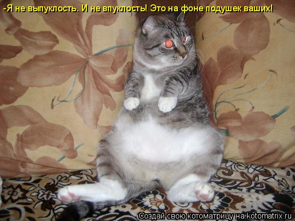 -Я не выпуклость. И не впуклость! Это на фоне подушек ваших!... Котоматрица: -Я не выпуклость. И не впуклость! Это на фоне подушек ваших!