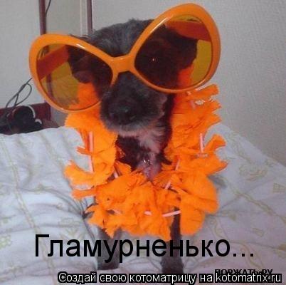 Гламурненько...... Котоматрица: Гламурненько...