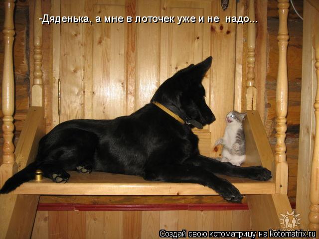 -Дяденька, а мне в лоточек уже и не надо...... Котоматрица: -Дяденька, а мне в лоточек уже и не надо...