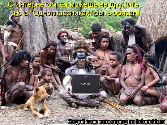 но в "Одноклассниках" быть обязан! С Интернетом ты можешь не дружить,... Котоматрица: но в "Одноклассниках" быть обязан! С Интернетом ты можешь не дружить,