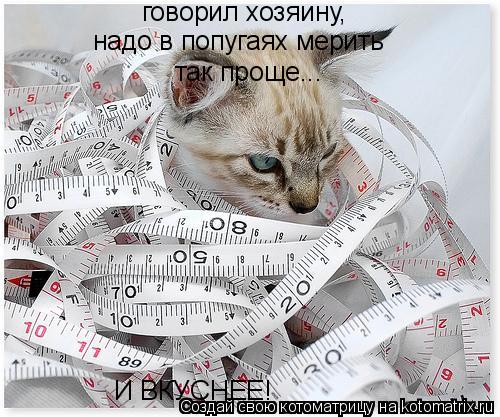 говорил хозяину, надо в попугаях мерить так проще... И ВКУСНЕЕ!... Котоматрица: говорил хозяину, надо в попугаях мерить так проще... И ВКУСНЕЕ!