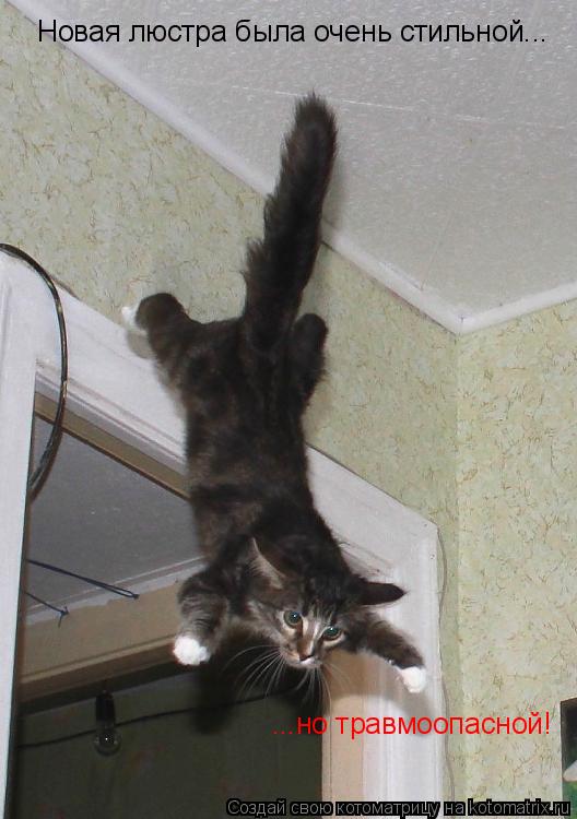Новая люстра была очень стильной... ...но травмоопасной!... Котоматрица: Новая люстра была очень стильной... ...но травмоопасной!