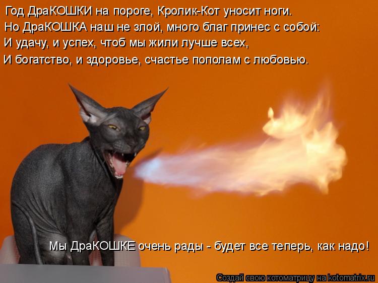Год ДраКОШКИ на пороге, Кролик-Кот уносит ноги. Но ДраКОШКА наш не злой, много благ принес с собой: И... Котоматрица: Год ДраКОШКИ на пороге, Кролик-Кот уносит ноги. Но ДраКОШКА наш не злой, много благ принес с собой: И удачу, и успех, чтоб мы жили лучше всех, И