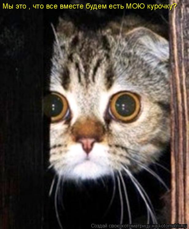 Котоматрица: Мы это , что все вместе будем есть МОЮ курочку?