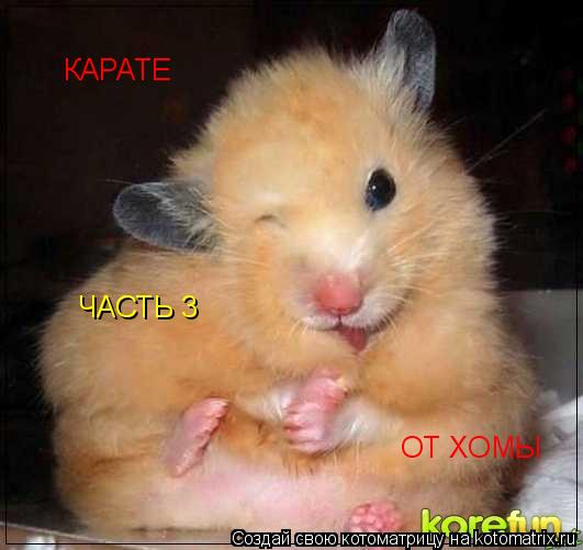 Котоматрица: КАРАТЕ ОТ ХОМЫ ЧАСТЬ 3