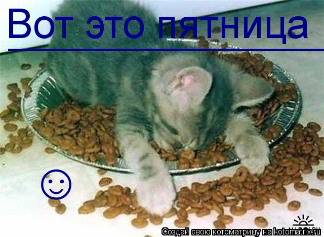 Котоматрица: Вот это пятница _____________________ ☺