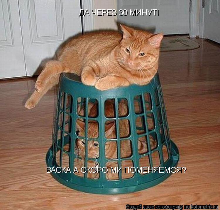 Котоматрица: ВАСКА А СКОРО МИ ПОМЕНЯЕМСЯ? ДА ЧЕРЕЗ 30 МИНУТ!