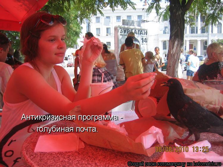 Антикризисная программа - голубиная почта.... Котоматрица: Антикризисная программа - голубиная почта.