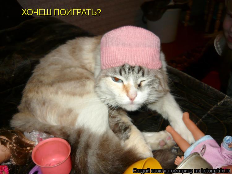 Котоматрица: ХОЧЕШ ПОИГРАТЬ?