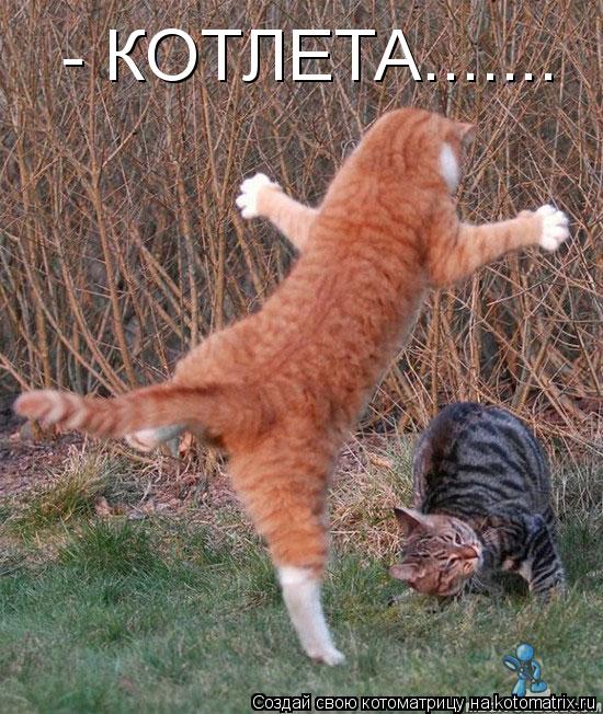Котоматрица: - КОТЛЕТА.......