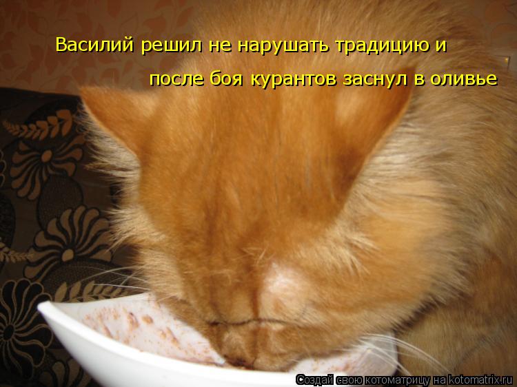 Котоматрица: Василий решил не нарушать традицию и  после боя курантов заснул в оливье