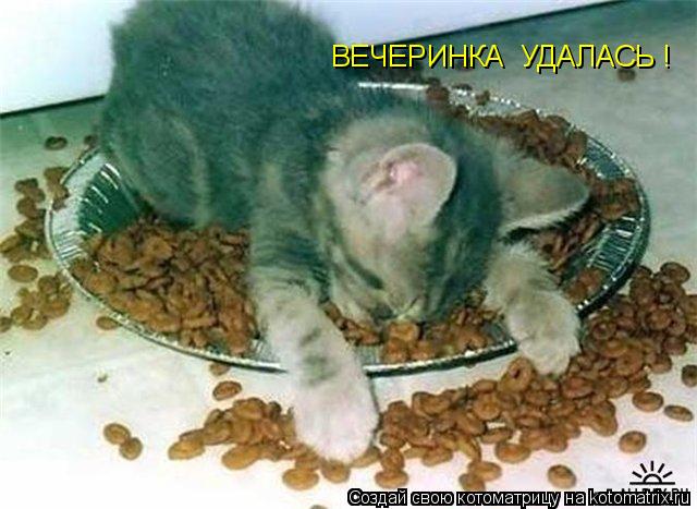 Котоматрица: ВЕЧЕРИНКА  УДАЛАСЬ !