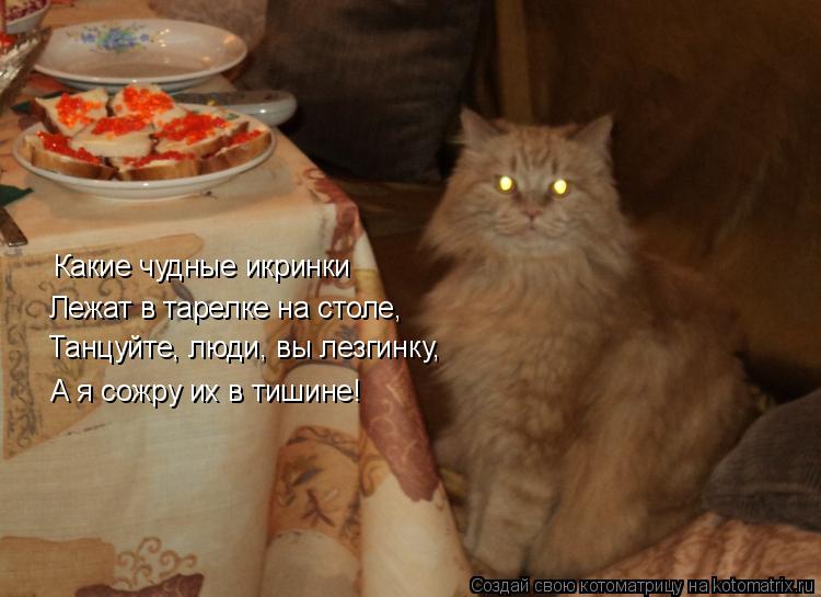 Котоматрица: Какие чудные икринки Лежат в тарелке на столе, Танцуйте, люди, вы лезгинку, А я сожру их в тишине!