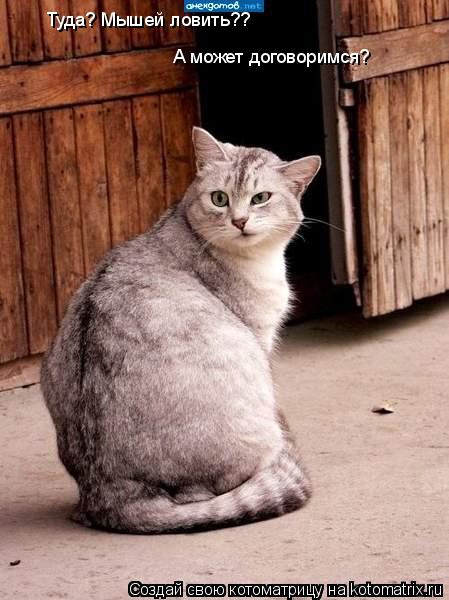 Котоматрица: Туда? Мышей ловить?? А может договоримся?