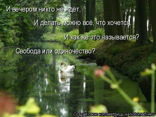 Котоматрица: И вечером никто не ждёт, И делать можно всё, что хочется…  И как же это называется? Свобода или одиночество?