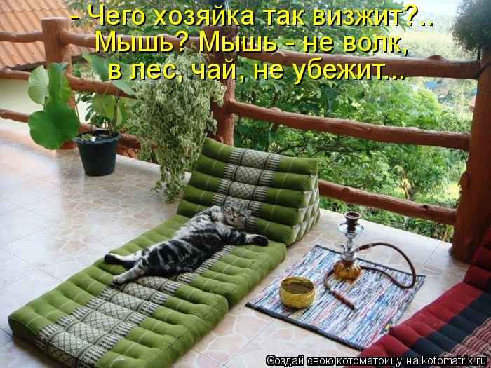 - Чего хозяйка так визжит?.. Мышь? Мышь - не волк, в лес, чай, не убежит...... Котоматрица: - Чего хозяйка так визжит?.. Мышь? Мышь - не волк, в лес, чай, не убежит...