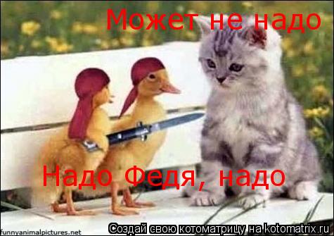 Надо Федя, надо Может не надо... Котоматрица: Надо Федя, надо Может не надо