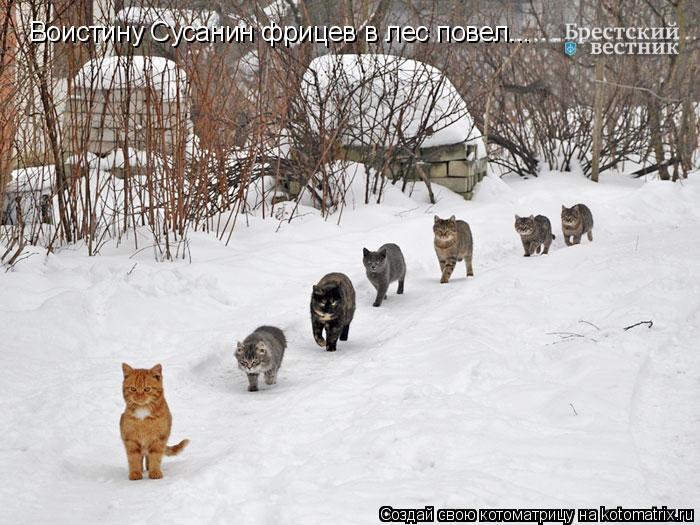 Воистину Сусанин фрицев в лес повел...... Котоматрица: Воистину Сусанин фрицев в лес повел...