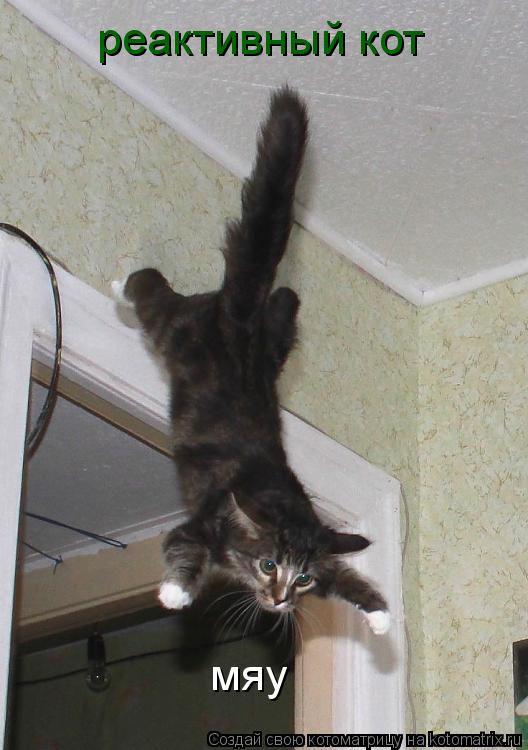 Котоматрица: реактивный кот мяу