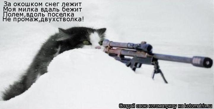 Котоматрица: За окошком снег лежит Моя милка вдаль бежит Полем,вдоль поселка Не промаж,двухстволка!