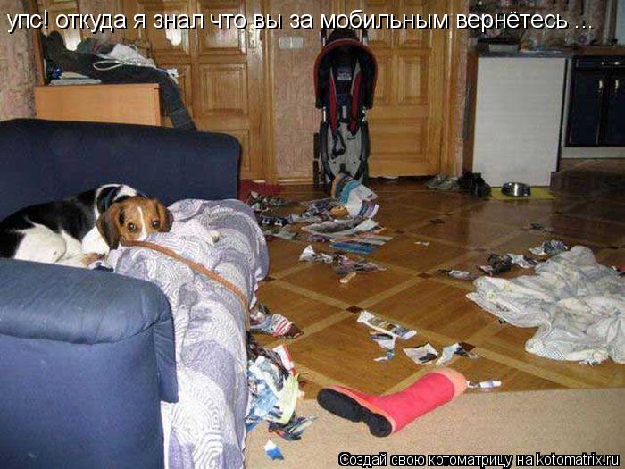 Котоматрица: упс! откуда я знал что вы за мобильным вернётесь ...