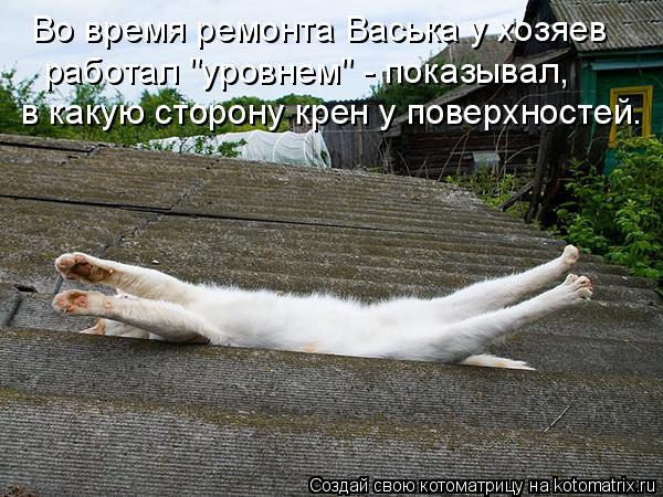 Во время ремонта Васька у хозяев в какую сторону крен у поверхностей. работал "уровнем" - показывал,... Котоматрица: Во время ремонта Васька у хозяев в какую сторону крен у поверхностей. работал "уровнем" - показывал,