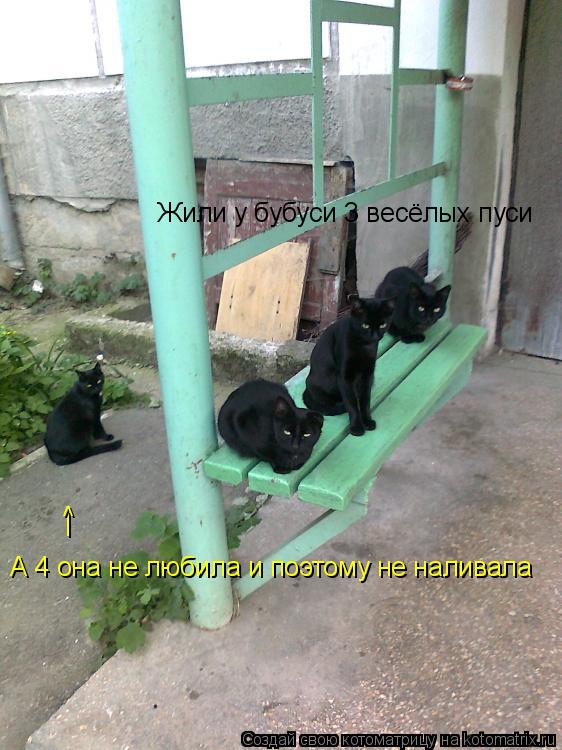 Котоматрица: Жили у бубуси 3 весёлых пуси А 4 она не любила и поэтому не наливала | ^