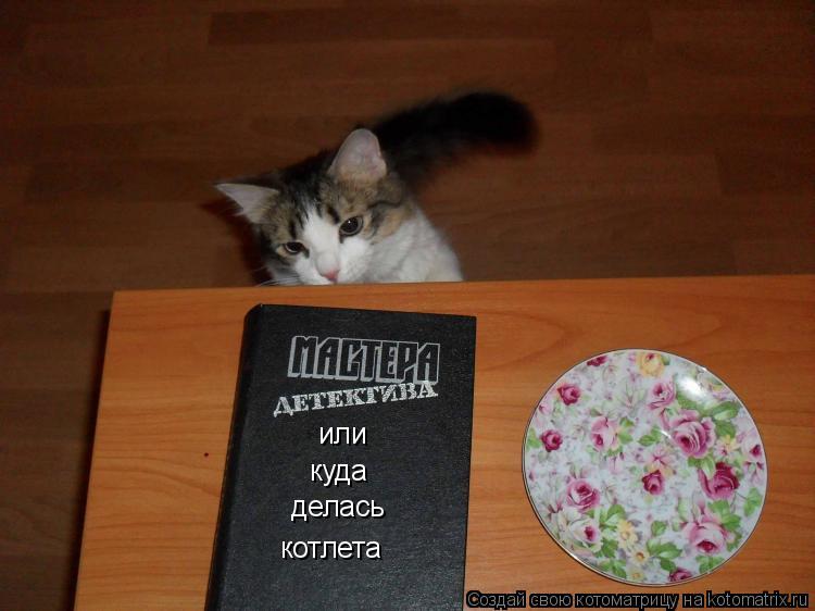 Котоматрица: или куда делась котлета