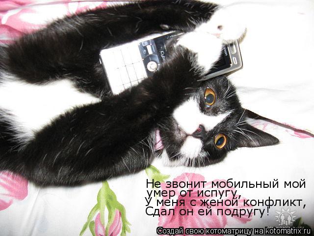 Котоматрица: Не звонит мобильный мой умер от испугу, У меня с женой конфликт, Сдал он ей подругу!