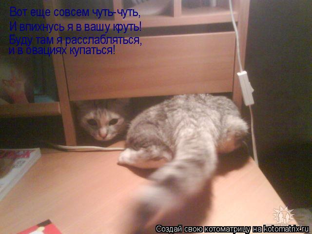 Котоматрица: Вот еще совсем чуть-чуть, И впихнусь я в вашу круть! Буду там я расслабляться, и в овациях купаться!