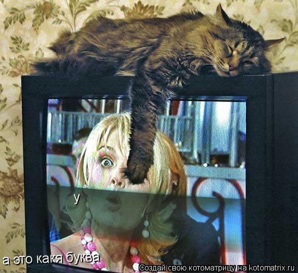Котоматрица: а это какя буква у