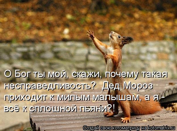 Котоматрица: О Бог ты мой, скажи, почему такая  несправедливость?  Дед Мороз  приходит к милым малышам, а я -  всё к сплошной пьяни?!