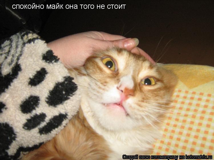 Котоматрица: спокойно майк она того не стоит
