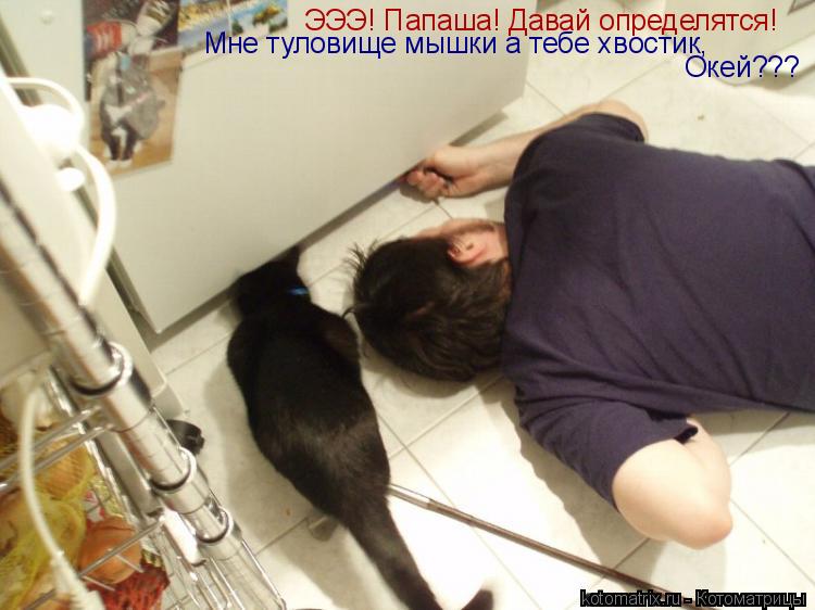 Котоматрица: ЭЭЭ! Папаша! Давай определятся! Мне туловище мышки а тебе хвостик, Окей???