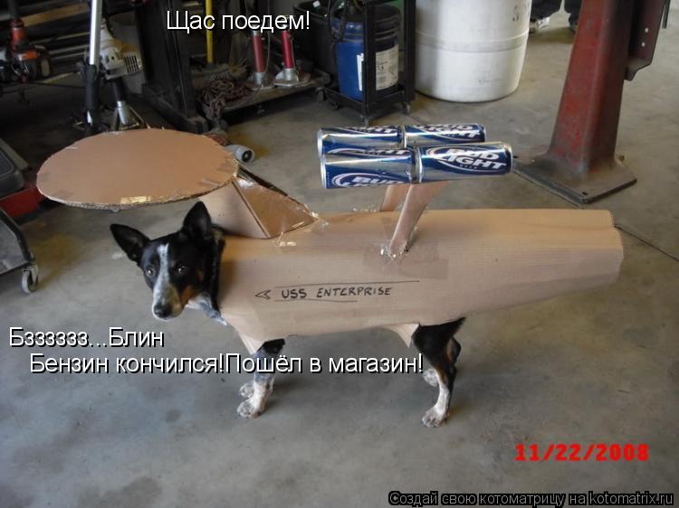 Котоматрица: Щас поедем! Бзззззз...Блин Бензин кончился!Пошёл в магазин!