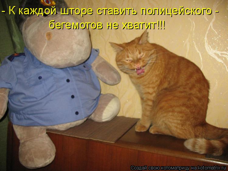 Котоматрица: - К каждой шторе ставить полицейского - бегемотов не хватит!!!