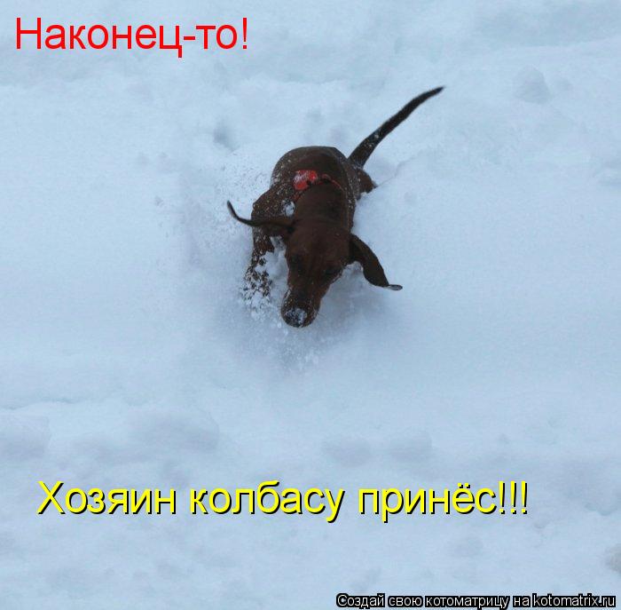 Котоматрица: Наконец-то! Хозяин колбасу принёс!!!