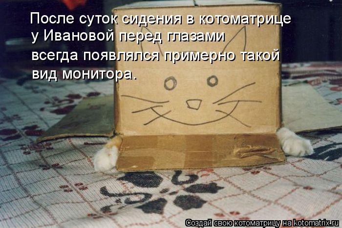Котоматрица: После суток сидения в котоматрице у Ивановой перед глазами всегда появлялся примерно такой  вид монитора.