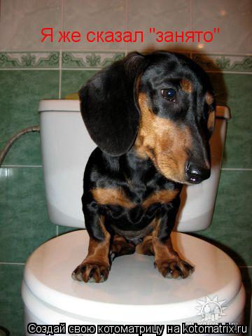 Котоматрица: Я же сказал "занято"
