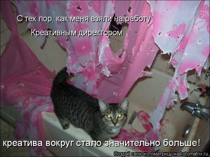 Котоматрица: С тех пор, как меня взяли на работу С тех пор, как меня взяли на работу Креативным директором креатива вокруг стало значительно больше!