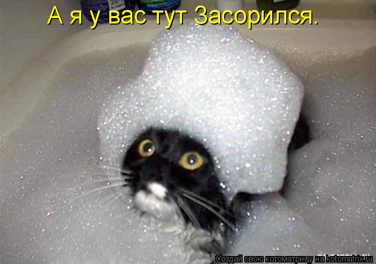 Котоматрица: А я у вас тут Засорился.
