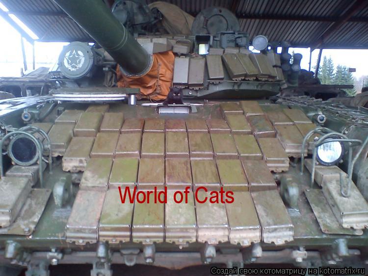 Котоматрица: World of Cats