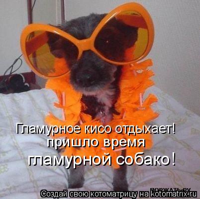 Котоматрица: Гламурное кисо отдыхает! пришло время гламурной собако!