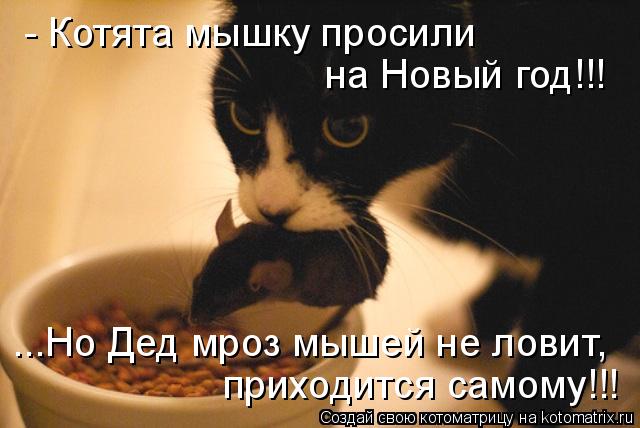 Котоматрица: - Котята мышку просили  на Новый год!!! ...Но Дед мроз мышей не ловит, приходится самому!!!