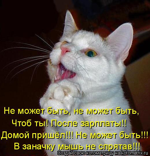 Котоматрица: Не может быть, не может быть, Чтоб ты! После зарплаты!! Домой пришёл!!! Не может быть!!! В заначку мышь не спрятав!!!