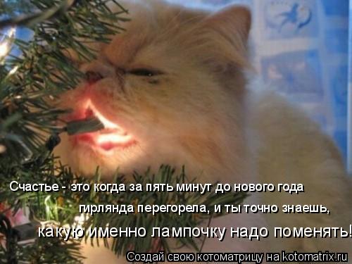 Котоматрица: Счастье - это когда за пять минут до нового года  гирлянда перегорела, и ты точно знаешь,  какую именно лампочку надо поменять!